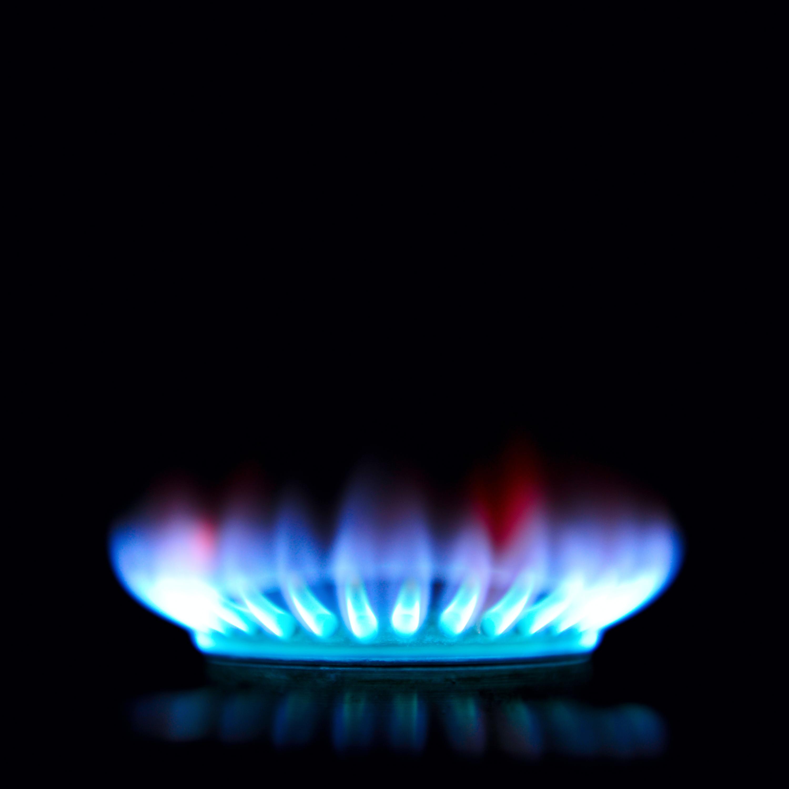 Energy suppliers